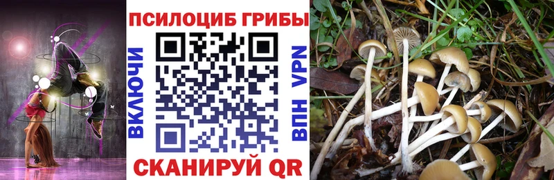 Псилоцибиновые грибы Cubensis  это официальный сайт  Усинск 